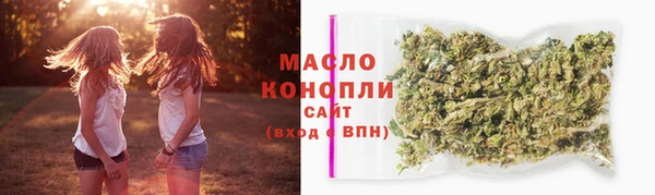 прущие грибы Аркадак