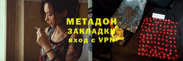 прущие грибы Аркадак