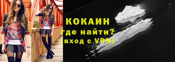 прущие грибы Аркадак