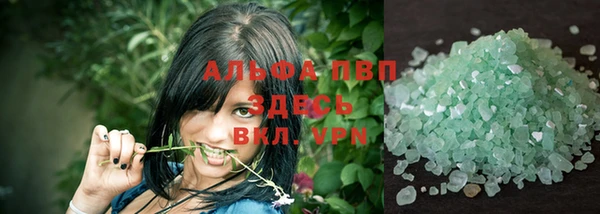 прущие грибы Аркадак